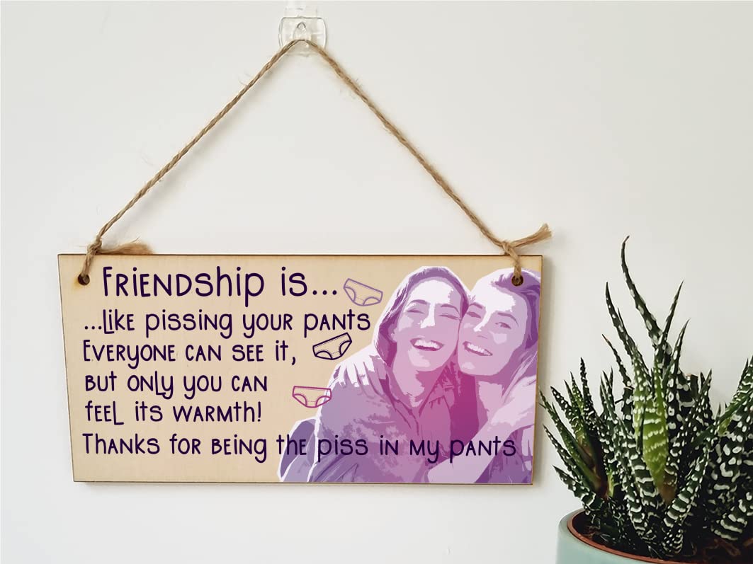 The Plum Penguin Handmade Wooden Hanging Wall Plaque Friendship is Like Pants Feel It's Warmth Funny Joke Rude Gift Sign