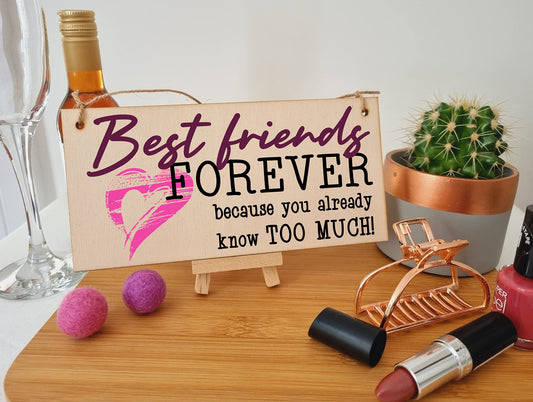 The Plum Penguin Best Friends Forever Know Too Much Funny Handmade Wooden Hanging Wall Plaque Decoration Gift BFF Bestie Friendship