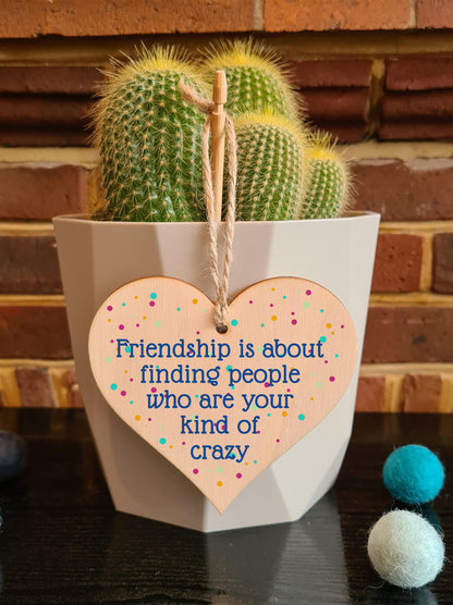 The Plum Penguin Handmade Wooden Hanging Heart Plaque Gift Friendship Your Kind of Crazy Funny Wall hanger Friend Colleague Present Card Alternative