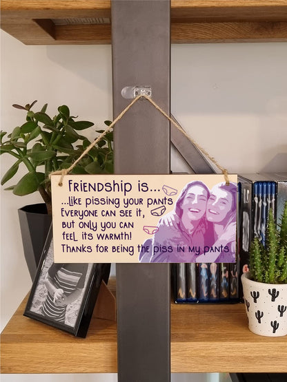 The Plum Penguin Handmade Wooden Hanging Wall Plaque Friendship is Like Pants Feel It's Warmth Funny Joke Rude Gift Sign